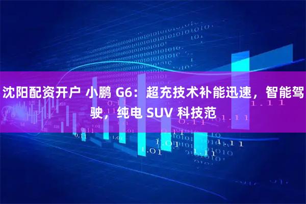 沈阳配资开户 小鹏 G6：超充技术补能迅速，智能驾驶，纯电 SUV 科技范